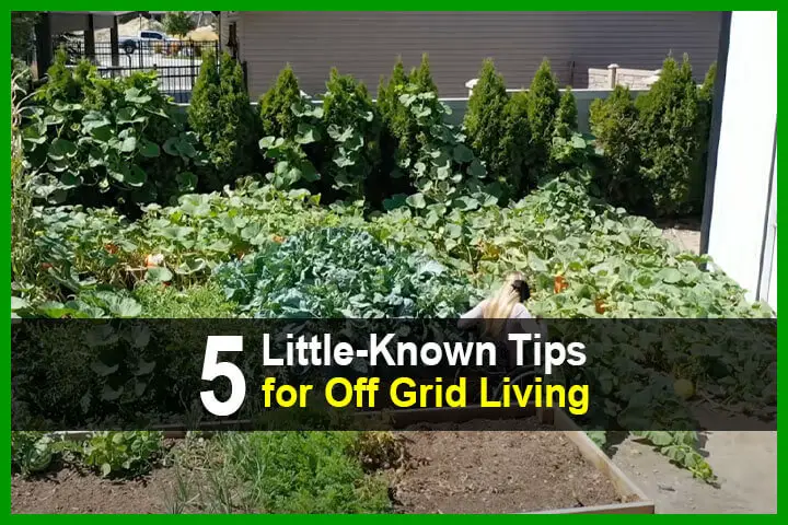 5 Little Known Tips For Off-Grid Living