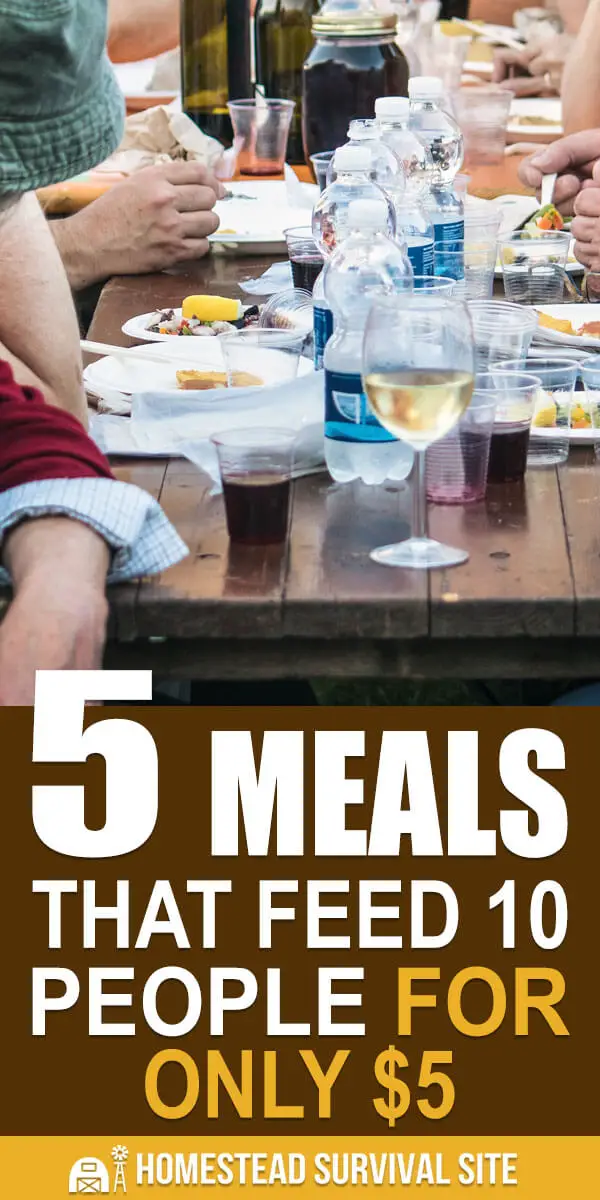 5 Meals That Feed 10 People For Only $5
