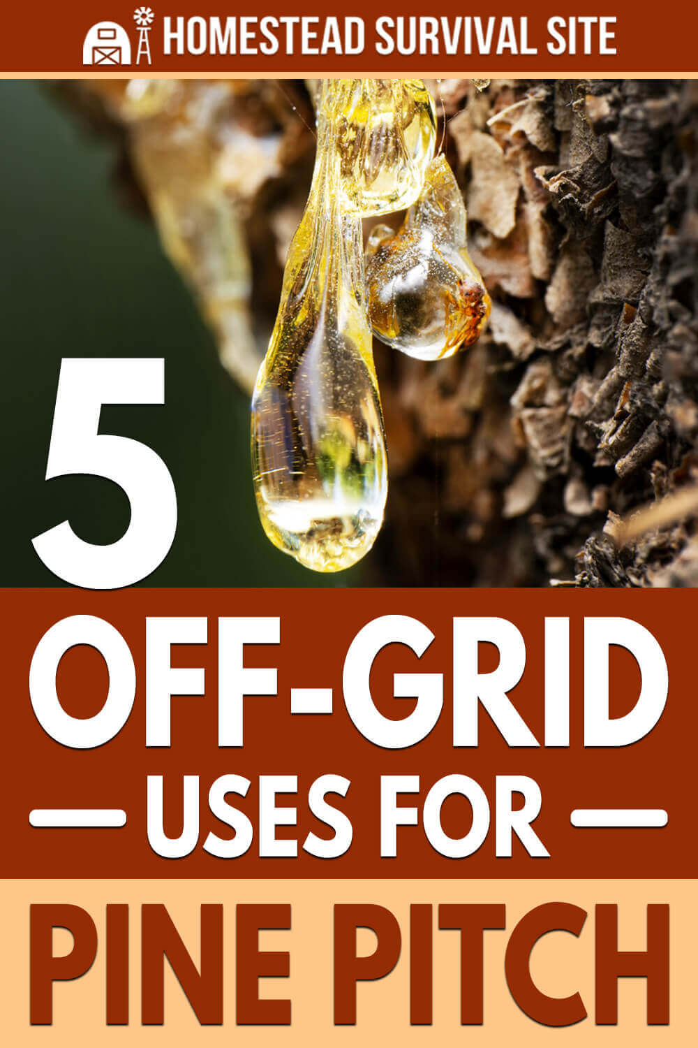 5 OffGrid Uses for Pine Pitch