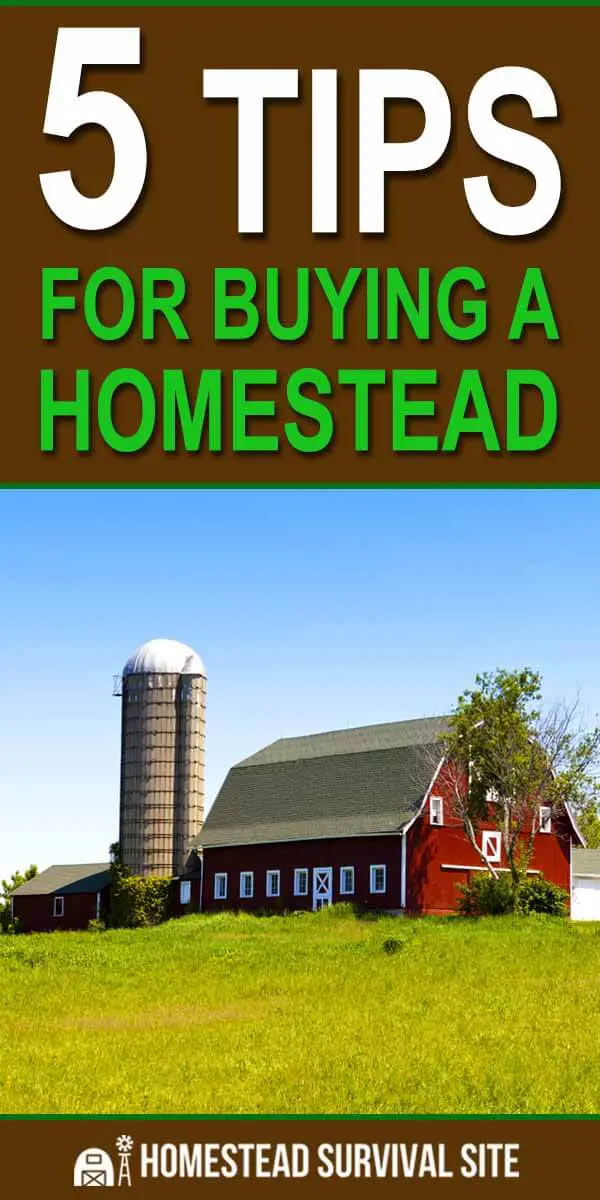 5 Tips for Buying a Homestead