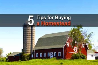 5 Tips for Buying a Homestead