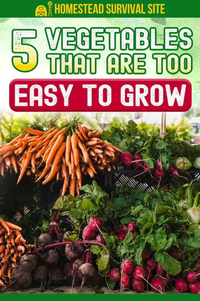 5 Vegetables That Are TOO Easy To Grow