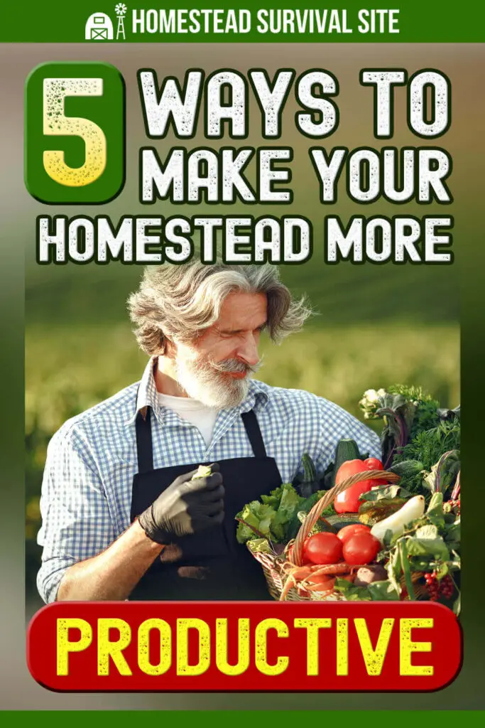 5 Ways to Make Your Homestead More Productive This Year
