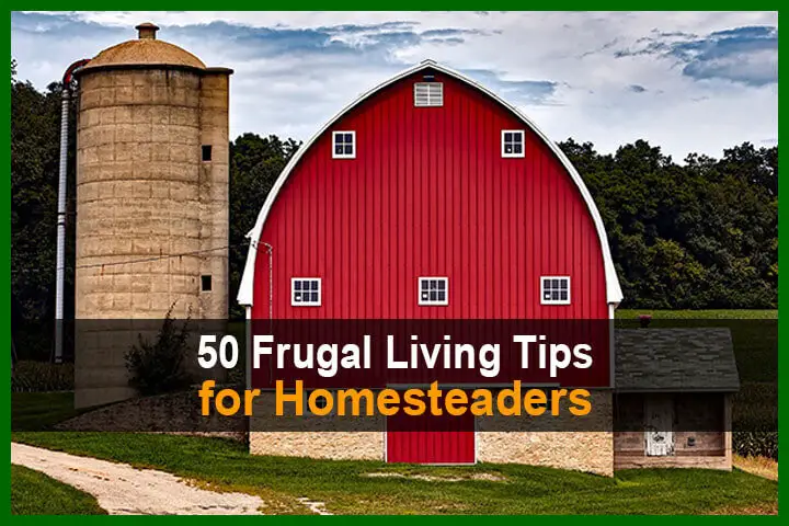 50 Frugal Living Tips For Homesteaders