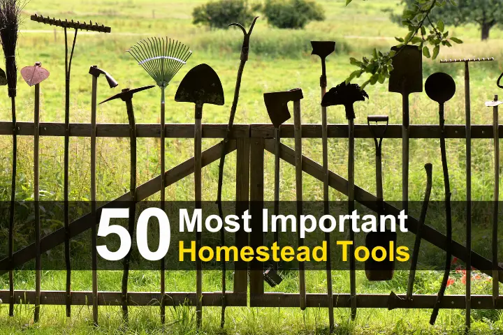 50 Most Important Homestead Tools