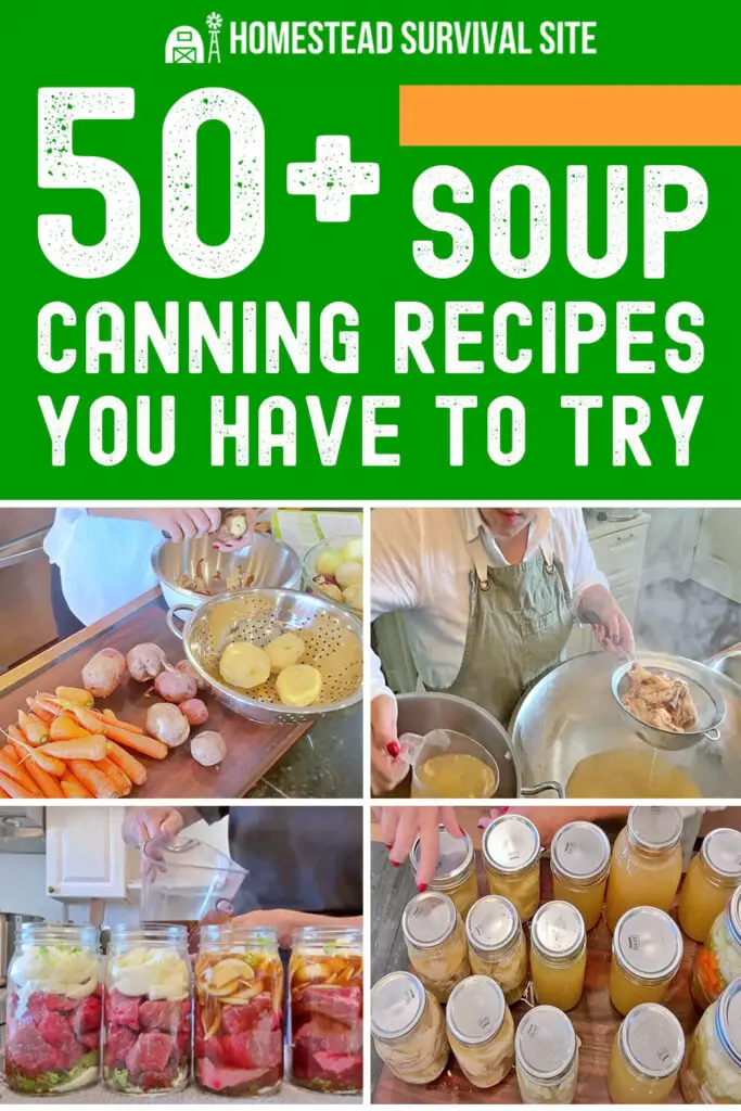 50+ Soup Canning Recipes You Have To Try