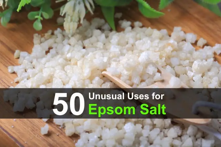 50 Unusual Uses for Epsom Salt