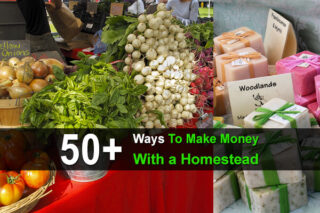 50+ Ways To Make Money With a Homestead