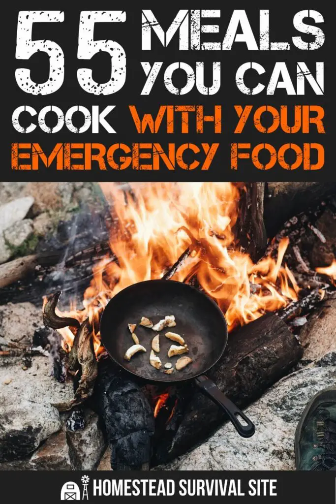 55 Meals You Can Cook With Your Emergency Food