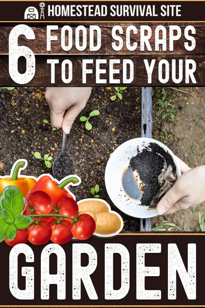 6 Food Scraps To Feed Your Garden