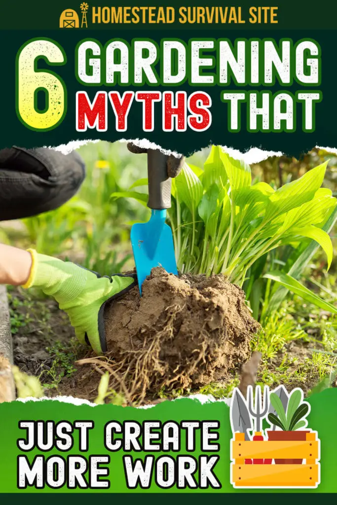6 Gardening Myths That Just Create More Work