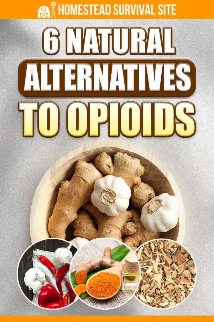 6 Natural Alternatives to Opioids