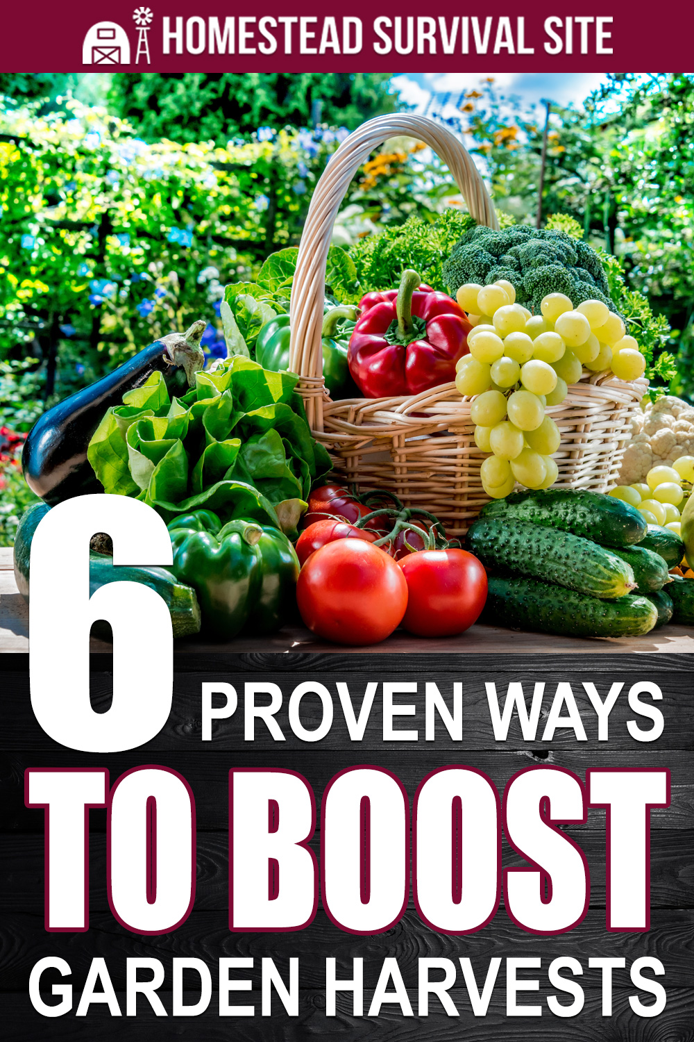 6 Proven Ways to Boost Garden Harvests