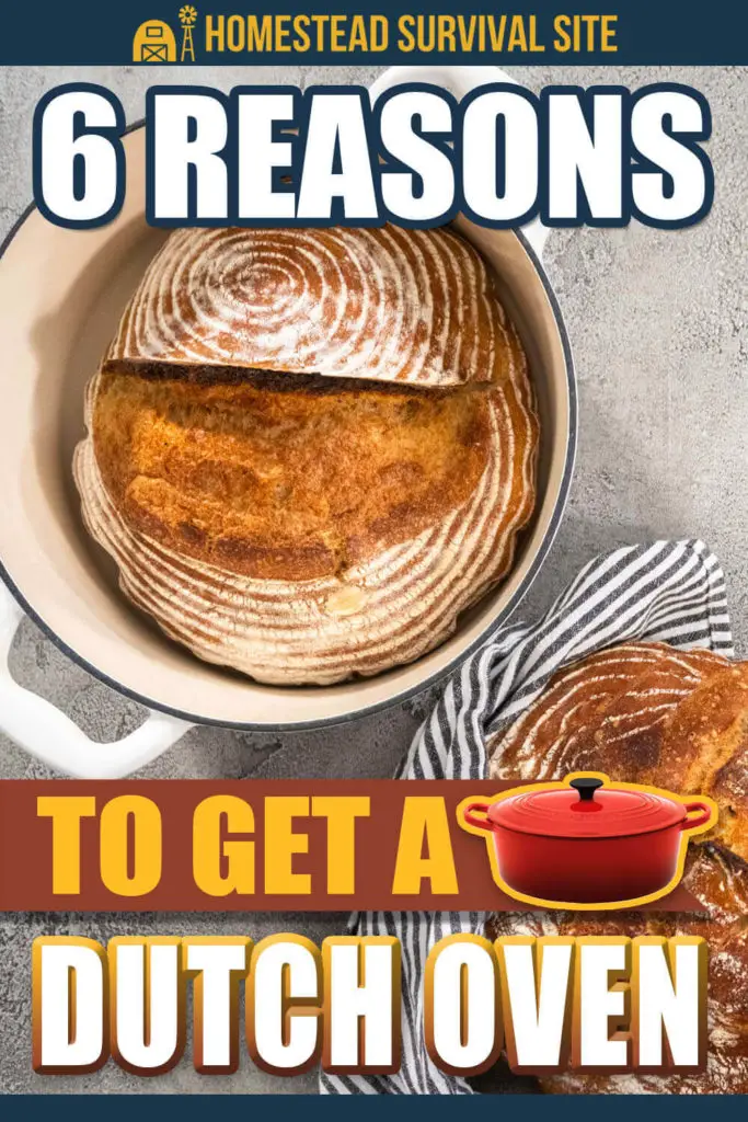 6 Reasons to Get a Dutch Oven