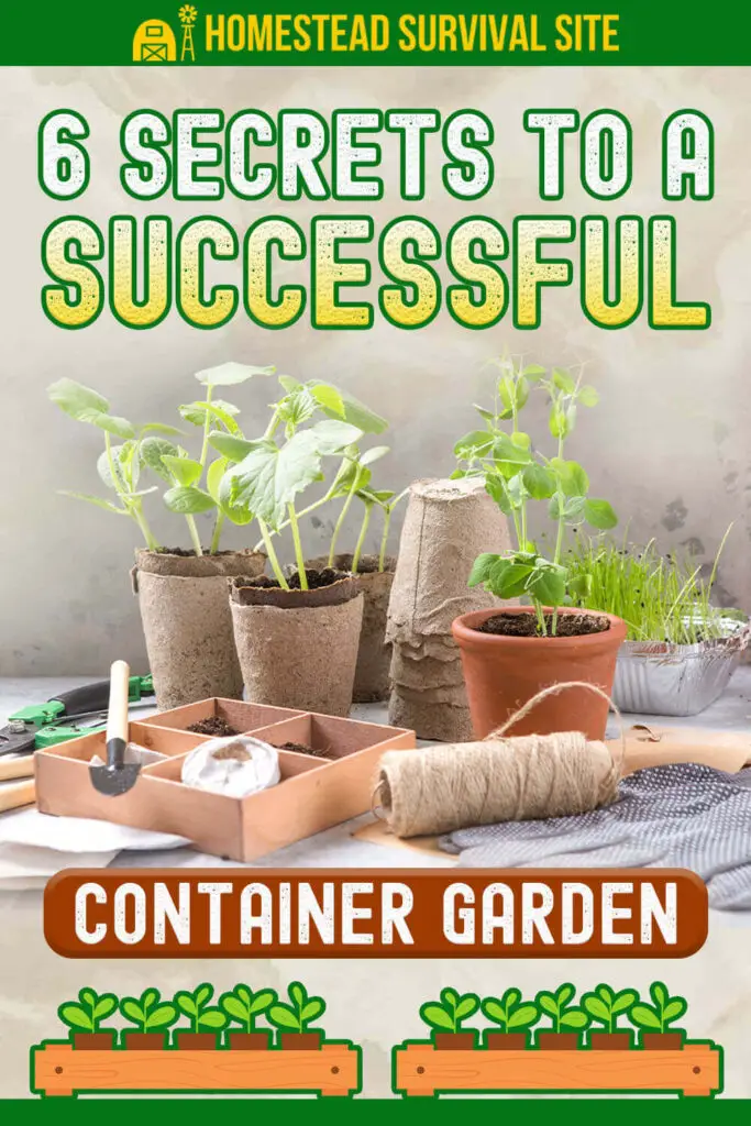 6 Secrets to a Successful Container Garden