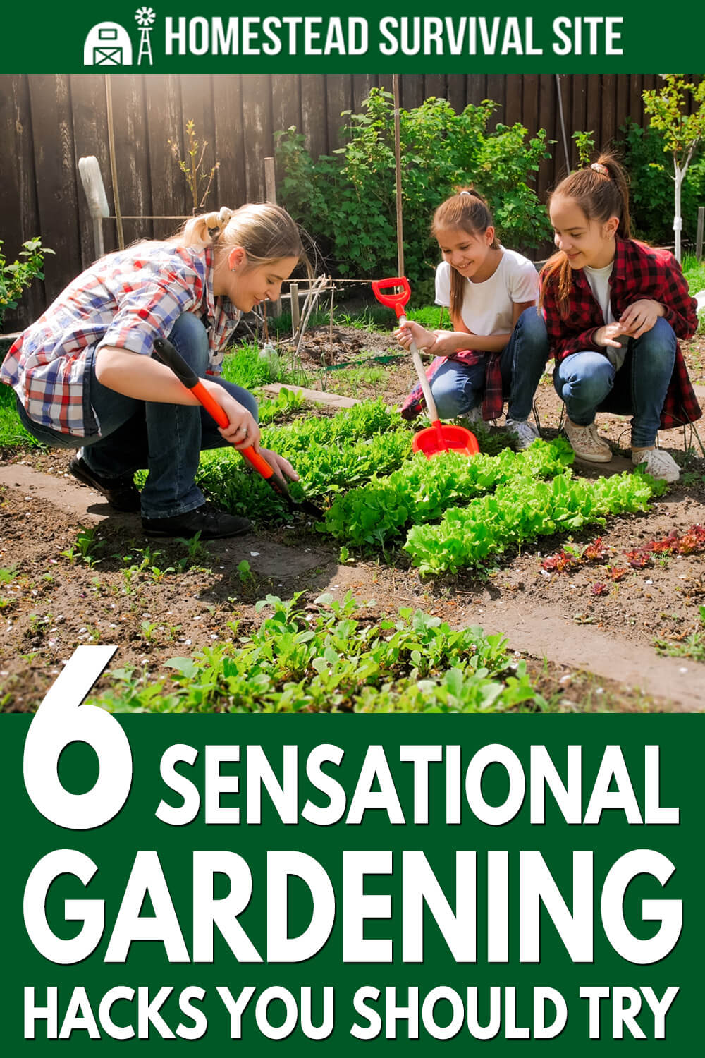 6 Sensational Gardening Hacks You Should Try