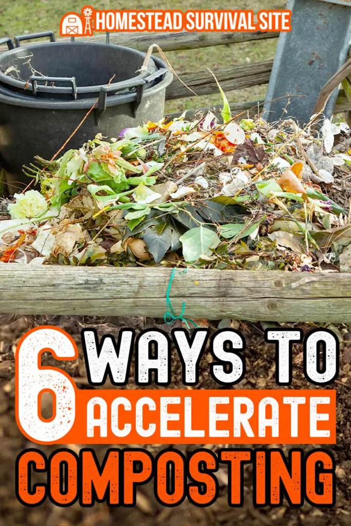 6 Ways to Accelerate Composting