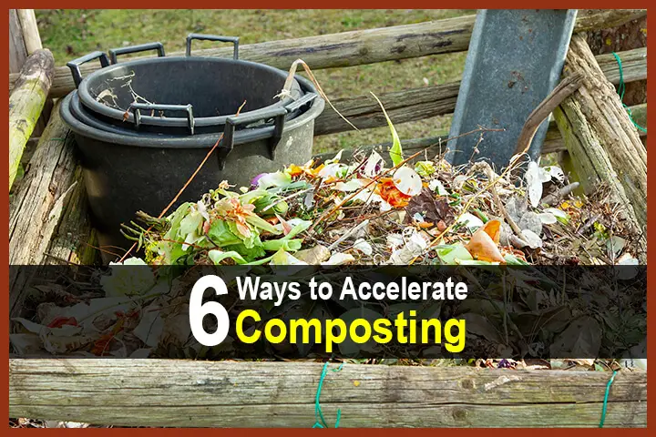 6 Ways to Accelerate Composting