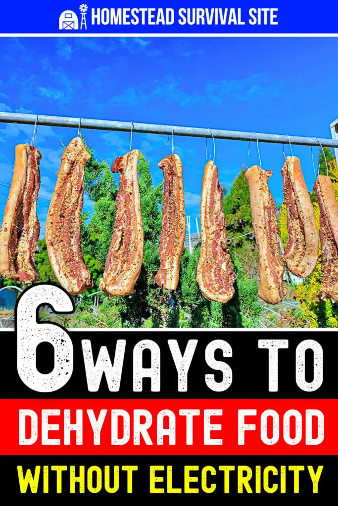 6 Ways to Dehydrate Food Without Electricity