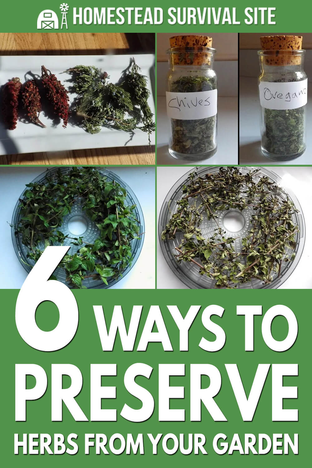 6 Ways To Preserve Herbs From Your Garden