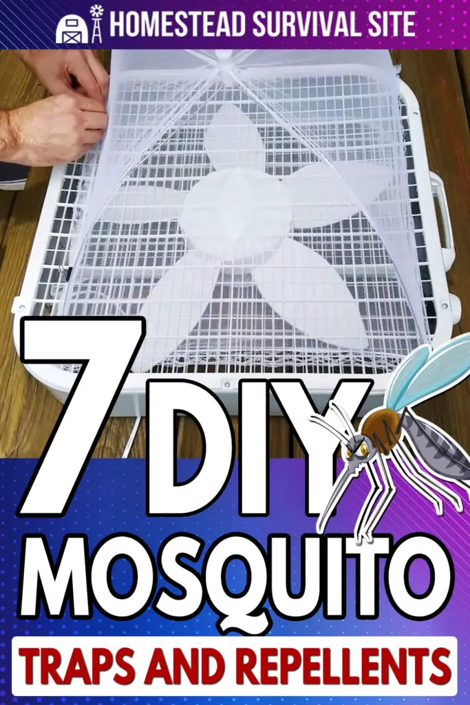 7 DIY Mosquito Traps and Repellents