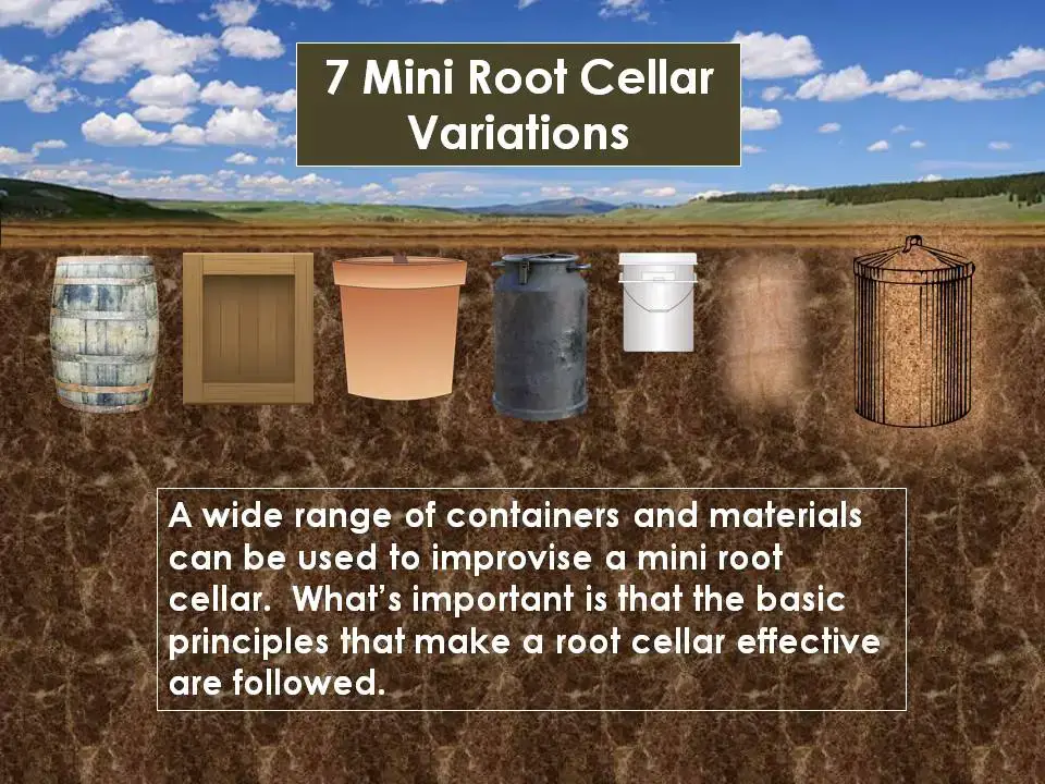 7 MINI ROOT CELLAR VARIATIONS