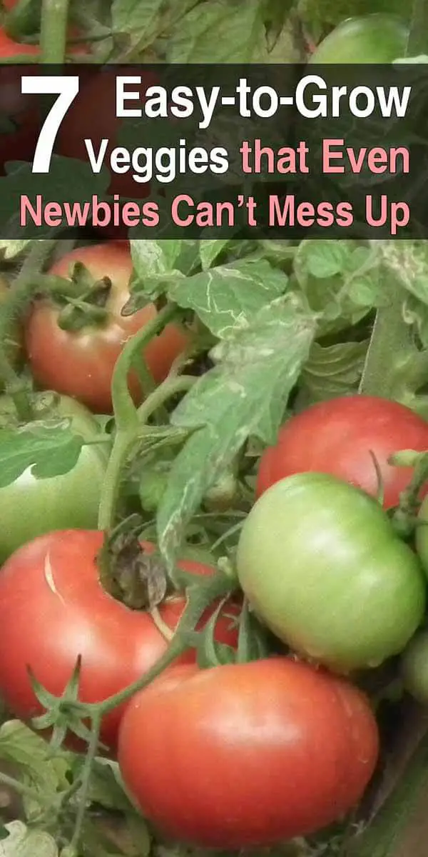 7 Easy-to-Grow Veggies That Even Newbies Can't Mess Up