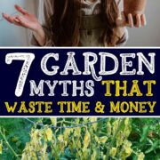 Pinterest Hidden Image