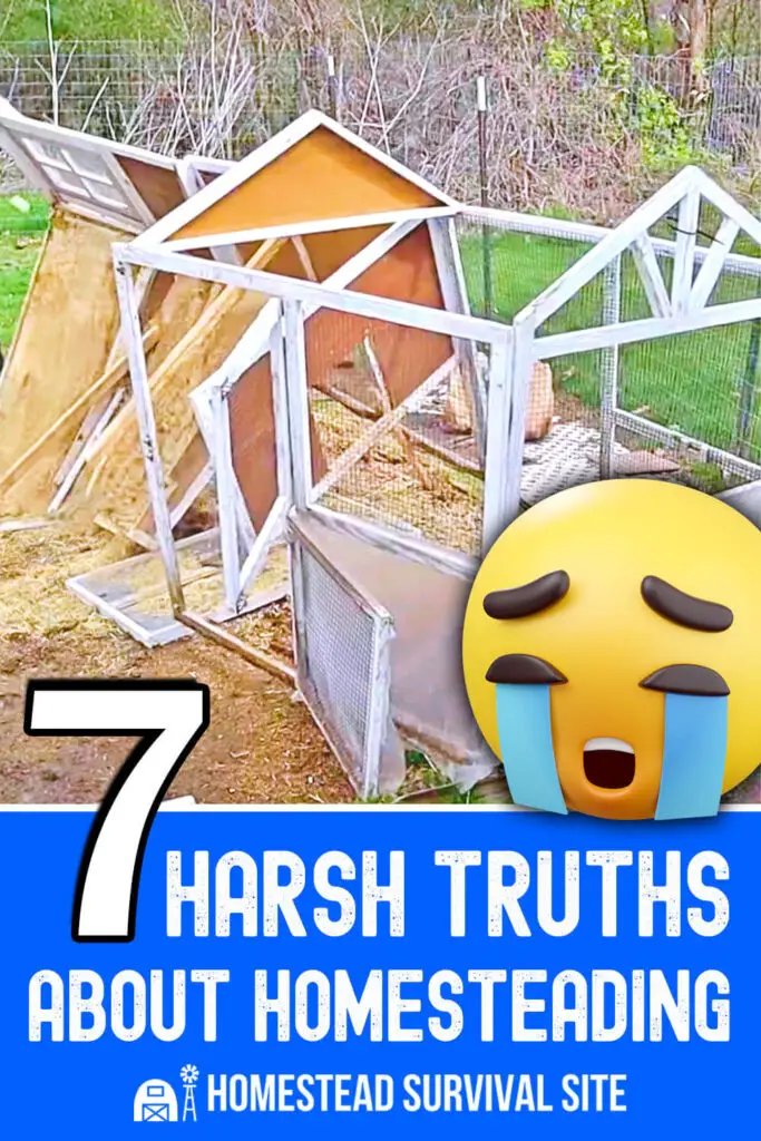 7 Harsh Truths About Homesteading