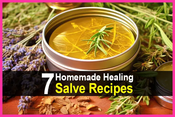 7 Homemade Healing Salve Recipes