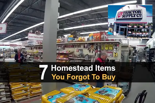 7 Homestead Items You Forgot To Buy