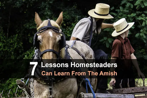 7 Lessons Homesteaders Can Learn From The Amish