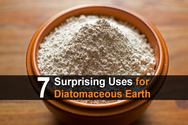 7 Surprising Uses For Diatomaceous Earth