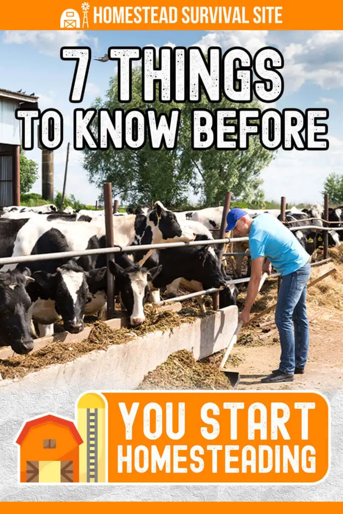 7 Things To Know Before You Start Homesteading