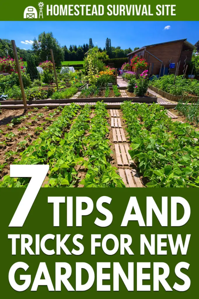 7 Tips and Tricks for New Gardeners