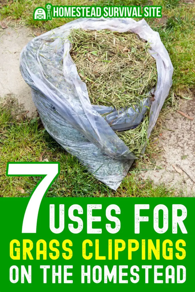 7 Uses for Grass Clippings on the Homestead