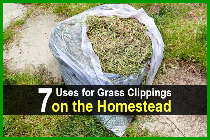 7 Uses for Grass Clippings on the Homestead - Homestead Survival Site