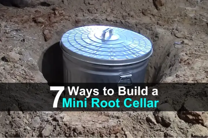 7 Ways to Build a Mini Root Cellar