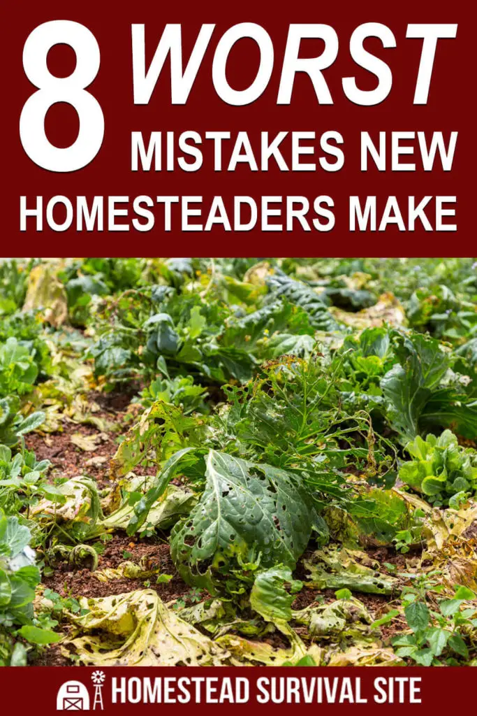 8 Worst Mistakes New Homesteaders Make
