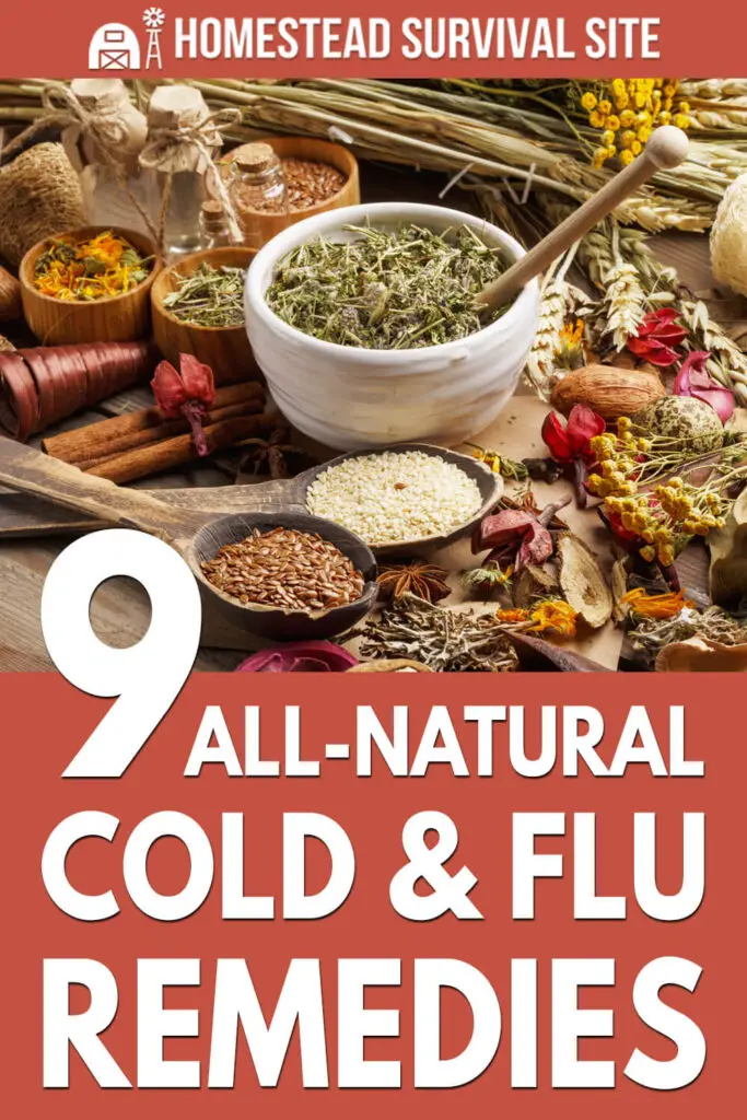 9 All-Natural Cold & Flu Remedies