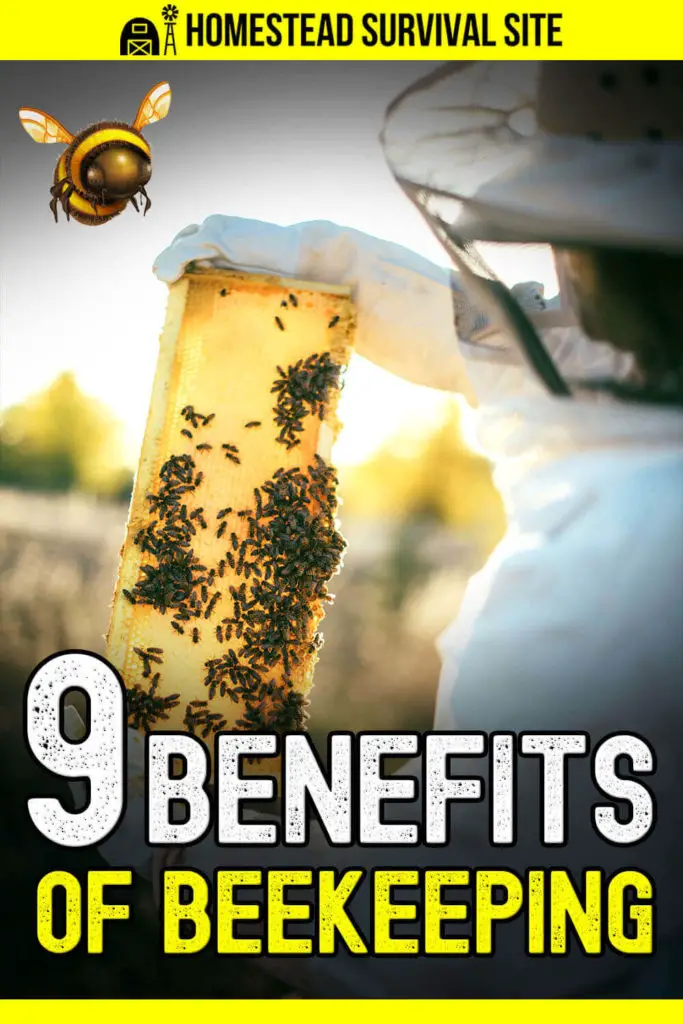 9 Benefits of Beekeeping