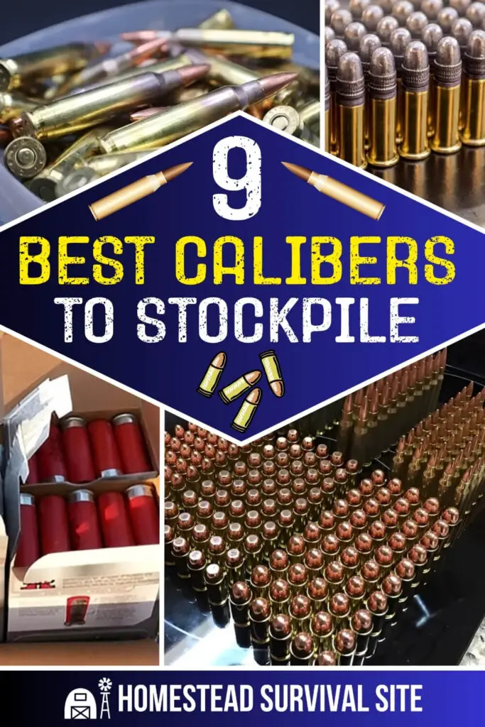 9 Best Calibers to Stockpile
