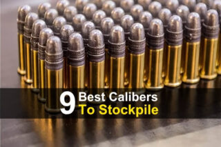 9 Best Calibers to Stockpile