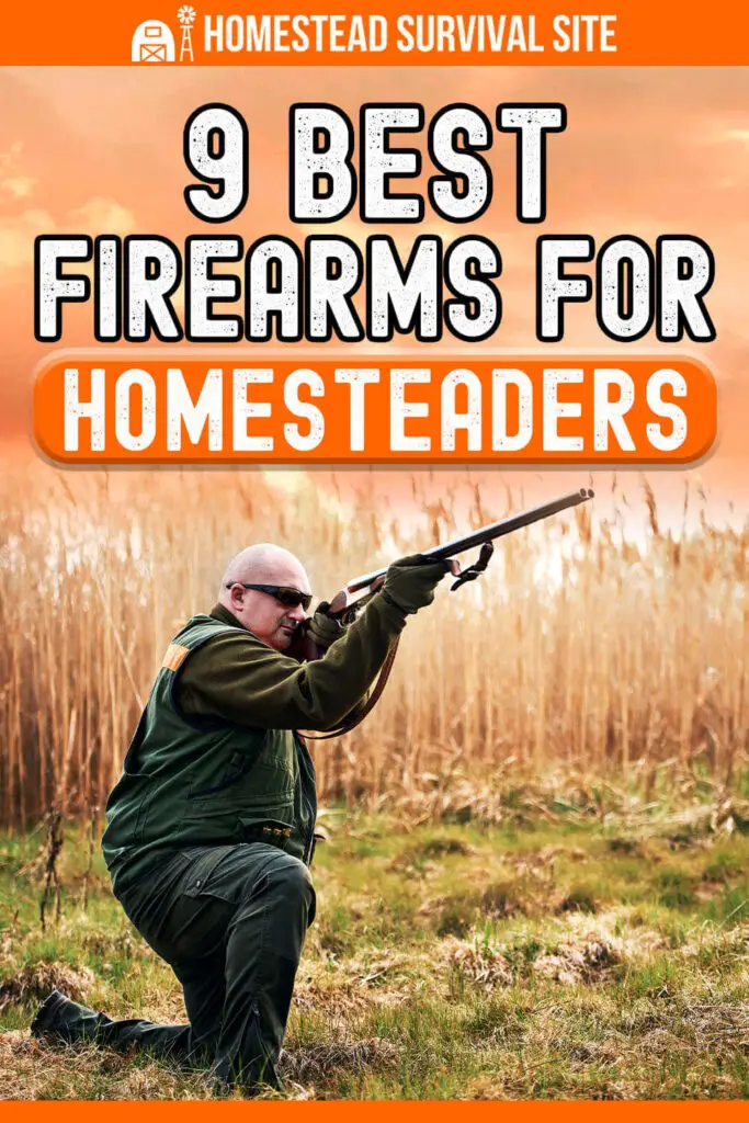 9 Best Firearms for Homesteaders