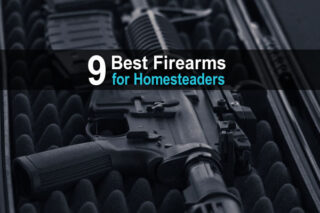 9 Best Firearms for Homesteaders