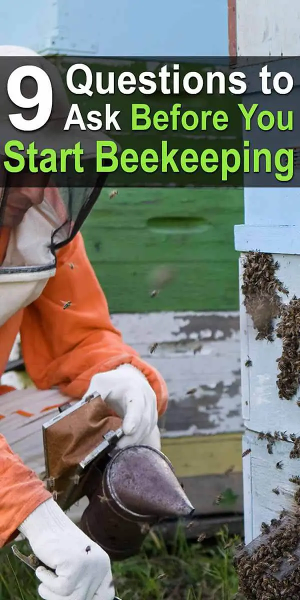 9 Questions to Ask Before You Start Beekeeping