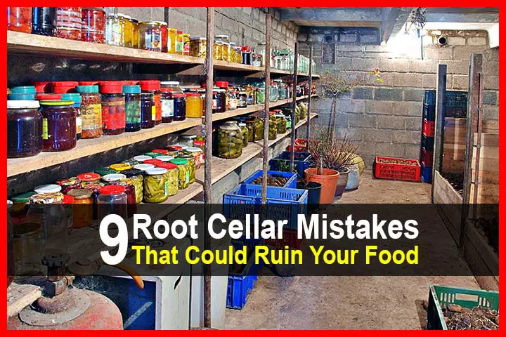 9 Root Cellar Mistakes That Could Ruin Your Food