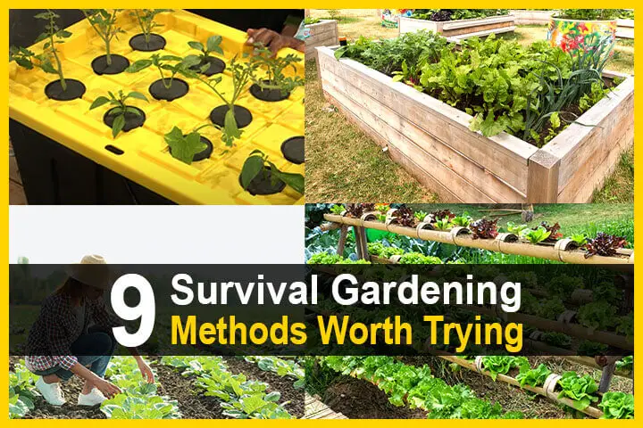 9 Survival Gardening Methods Worth Trying