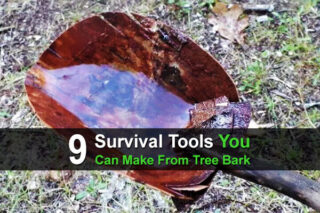 9 Survival Tools You Can Make From Tree Bark