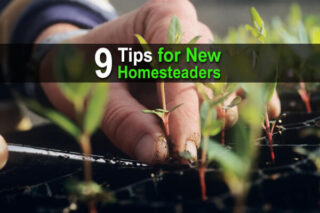 9 Tips for New Homesteaders